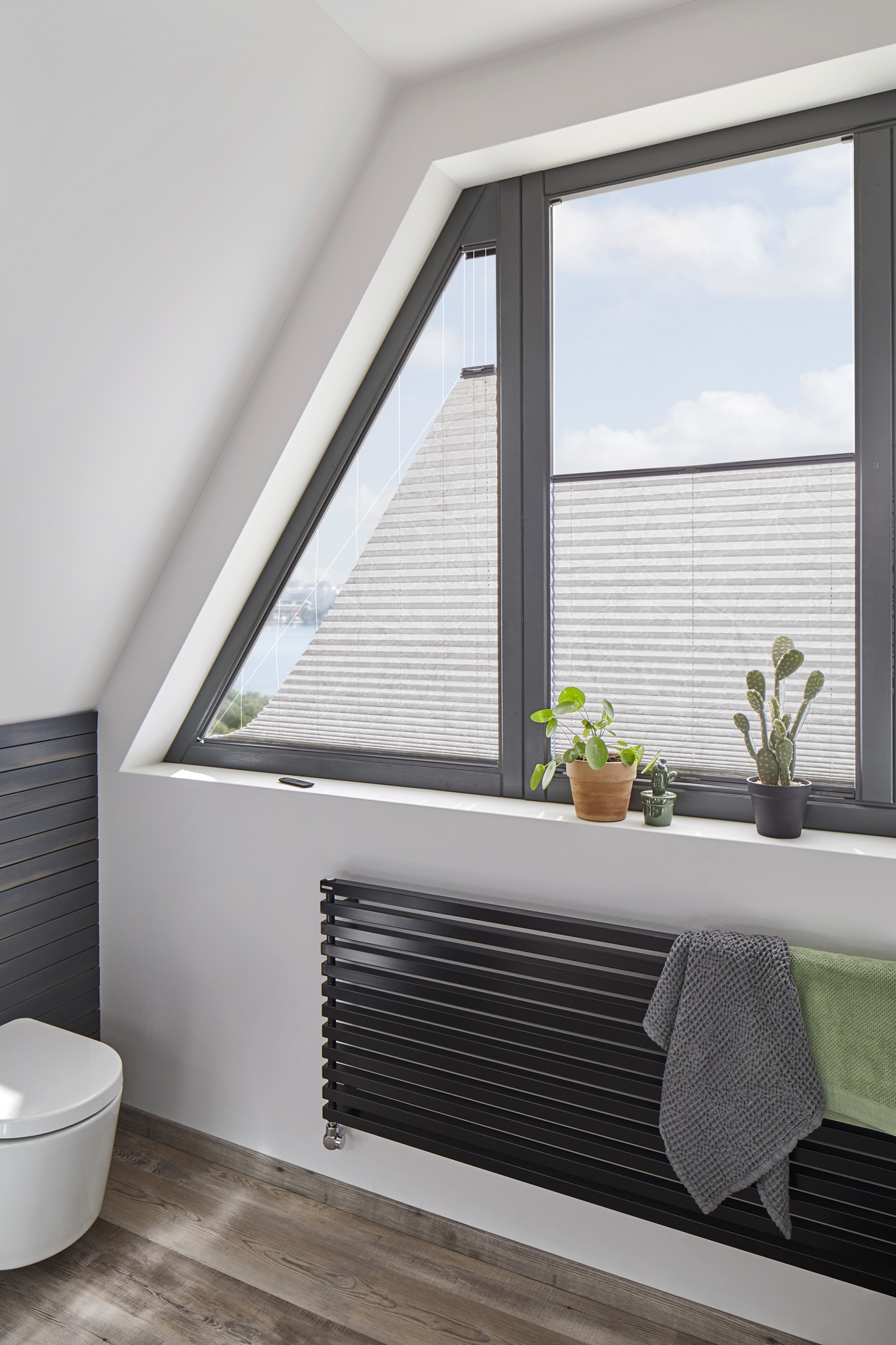 Plissé Shades Full Room Photo Grey In Bathroom