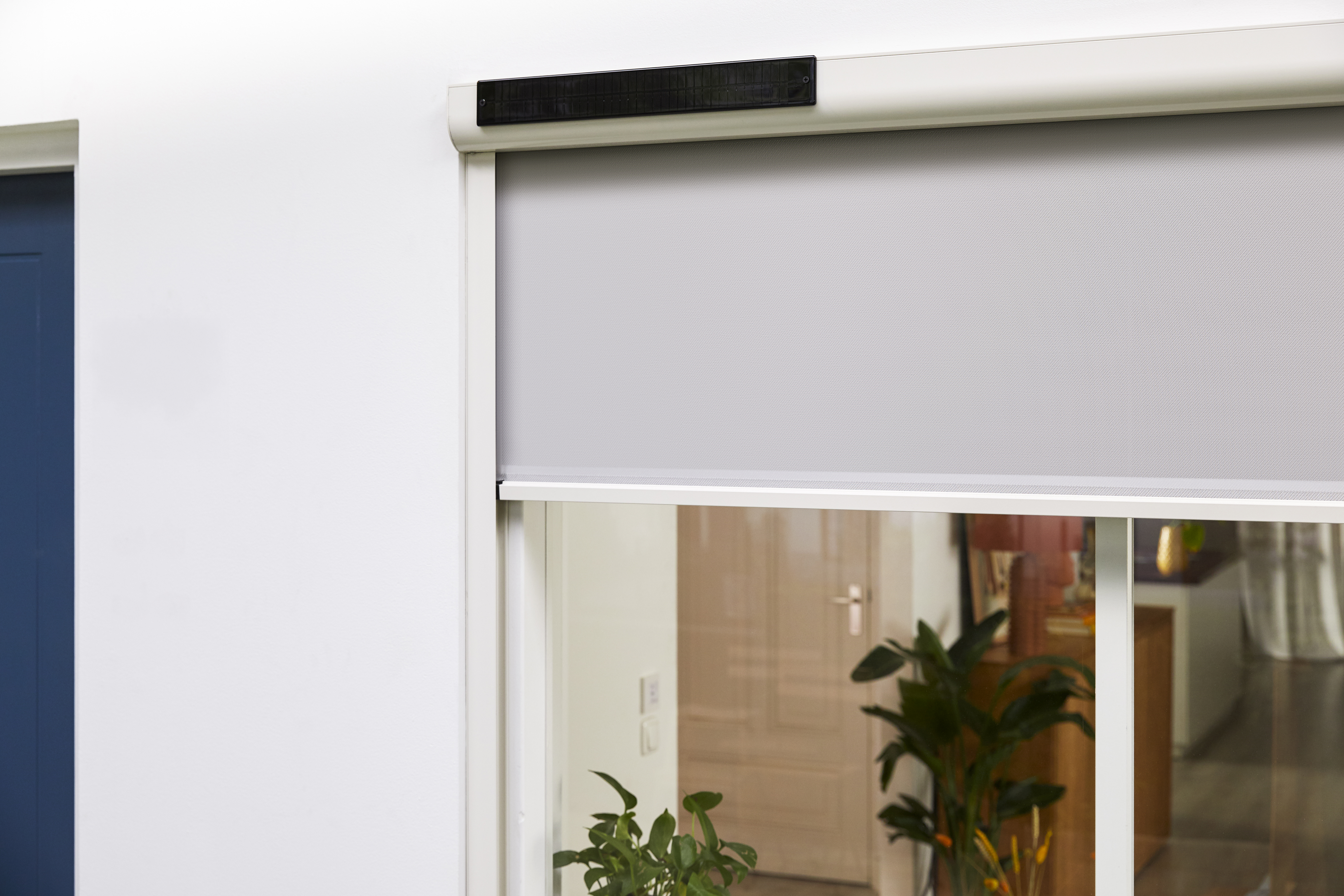 Shoot 2021 Lukkien Sunea Solar HD 069