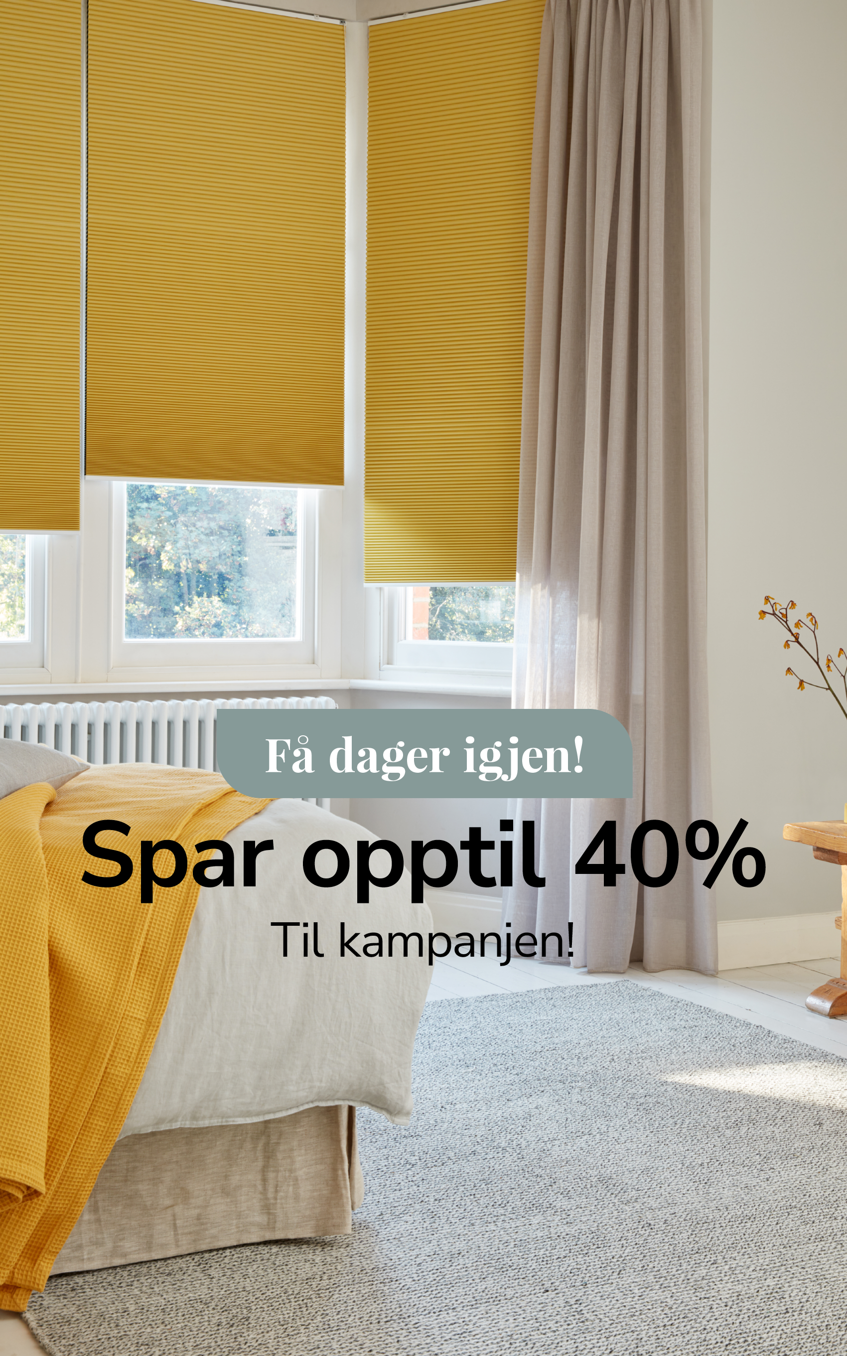 1700X2720 Heromobil Mars KM FDI (1)